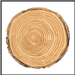 su_21264_su_115719 su_21264_su_115719